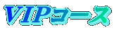 ＶＩＰコース