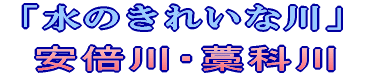 水のきれいな川、安倍川・藁科川