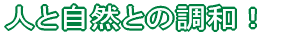 lƎRƂ̒aI