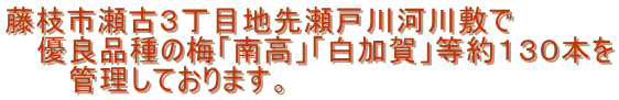 }sÂRڒn搣ː͐~ @ DǕi̔~u썂vuvPRO{ @@  ǗĂ܂B