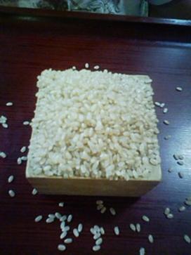 20100913215538.jpg