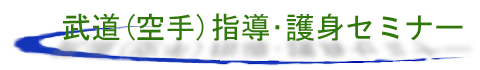 武道(空手)指導、護身セミナー