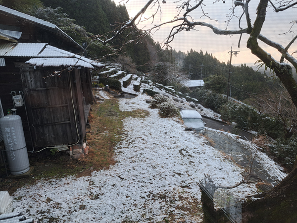 冬の吹雪