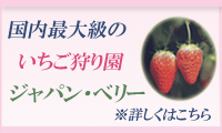 艀