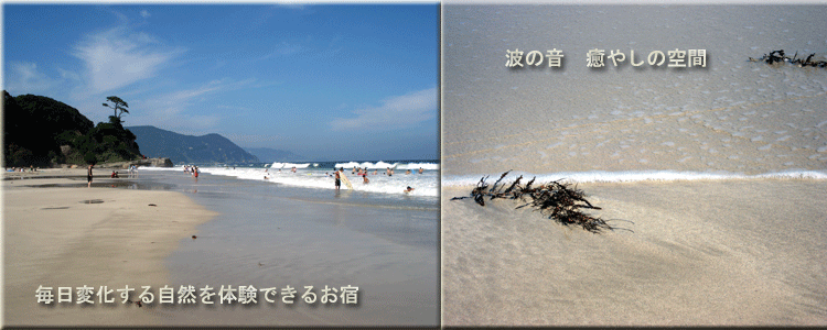 伊豆白浜海岸の写真