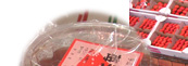 䕃W����