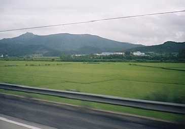 pusan9.jpg