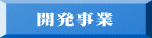 開発事業
