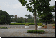 Nakatajima3