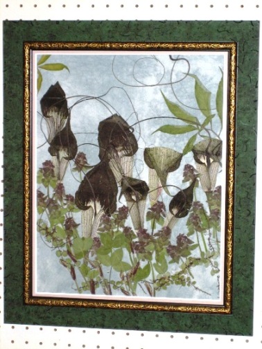 ��؁@���ݎq