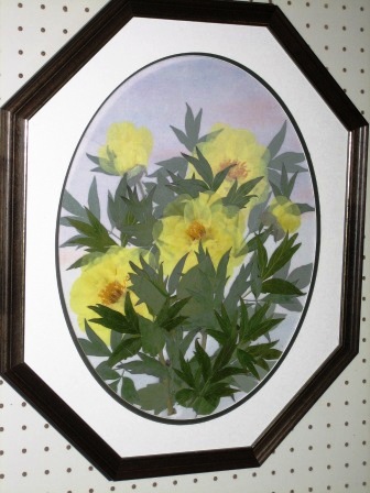 �g��@�݂��q