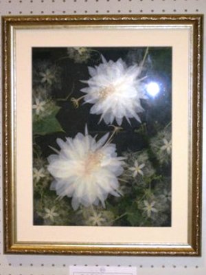 ��� ���ݎq