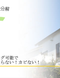 ������ꏊ�ɃR�[�e�B���O�\�ŉ��ꂪ�c��Ȃ��I�L�����c��Ȃ��I�J�r�Ȃ��I