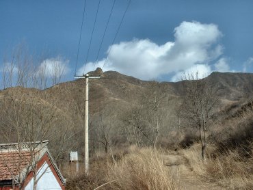 11_zhiwuyuanuRA.jpg