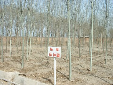58_huanjinglin_centerђS(k).jpg