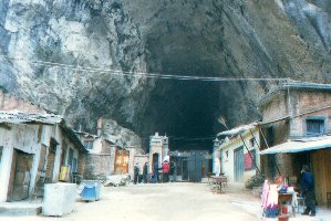 dafodong_01.jpg