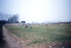 daminggong_03.jpg