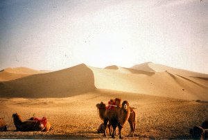 dh_mingsha_020.jpg
