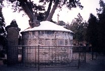 hc_sima_02.jpg