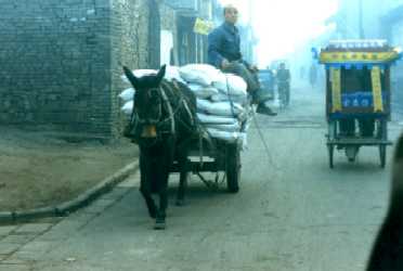 py_lushang.jpg