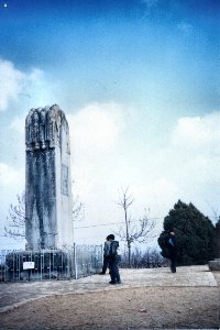 qianling_wuzi.jpg