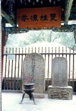 wuhoumu_03.jpg