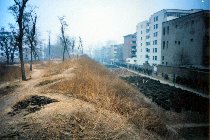 zz_shandai_01.jpg