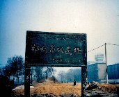 zz_shandai_02.jpg