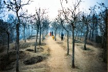 zz_shandai_03.jpg