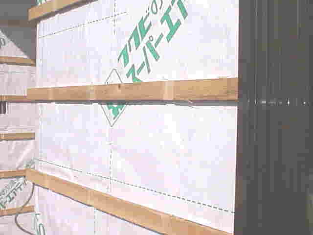 �l�@�O�������ʐ^