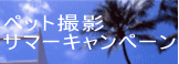 �y�b�g�B�e �T�}�[�L�����y�[�� 