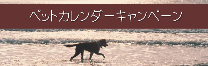 ペットカレンダーキャンペーン