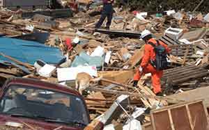 東日本大震災出動時の写真