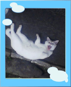 �I�������@�~�ՁI