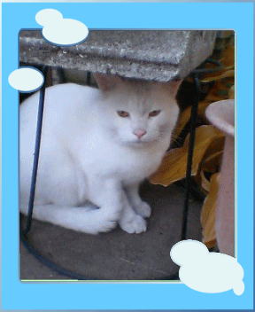 �É����̌��݋Ƌ��Ȃ�܂����Ă��ăj��