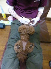方針イメージ
