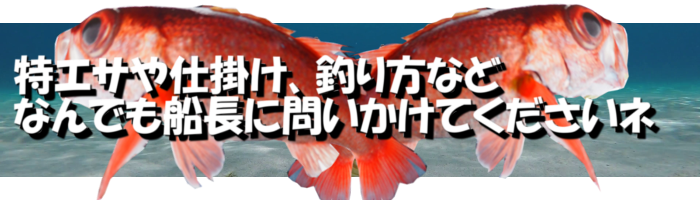 直正丸 料金表