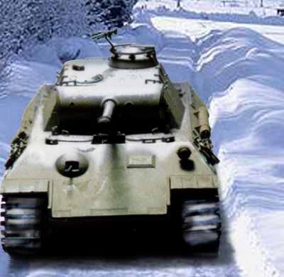panter in the snow