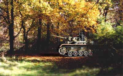 pz3 in the forest