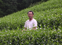 お茶　静岡　大高茶園　新茶　緑茶　日本茶　農家　栽培農家　手揉み　