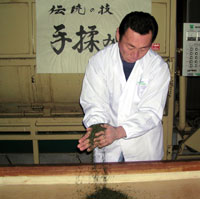 お茶　静岡　大高茶園　新茶　緑茶　日本茶　通販　栽培農家　手揉み