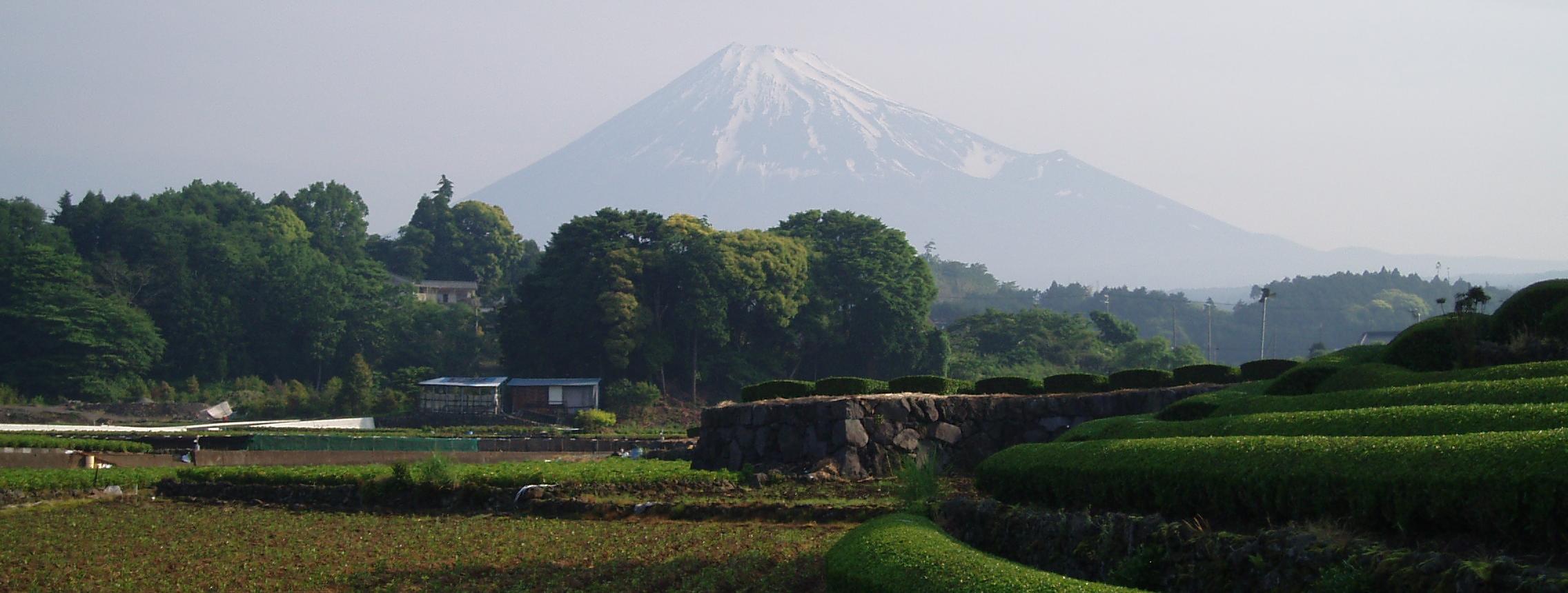 新緑の朝に霞む春姿の富士(2008年5月 富士市)