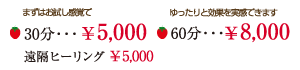 料金表 5.000円より