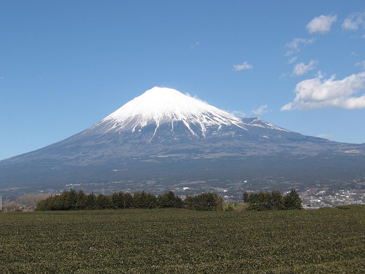 fuji2012_2_9.JPG