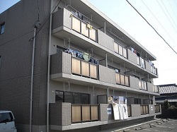 쌴5FO[R