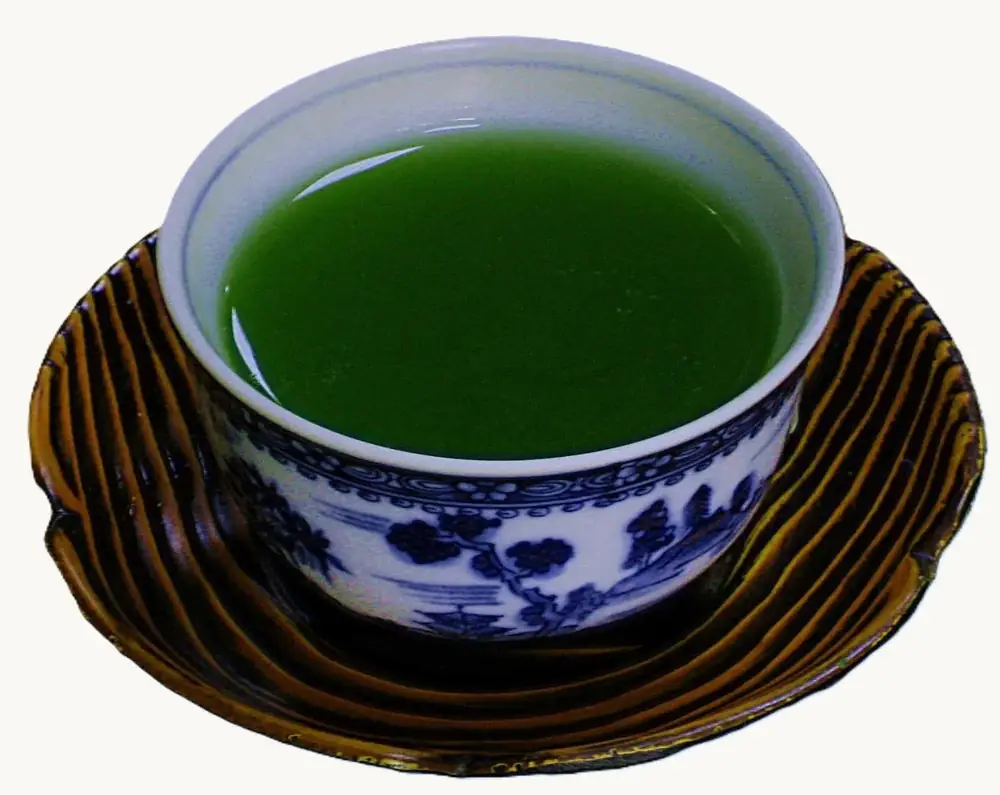 静岡市にあるお茶専門店 白銀屋のやぶ北深むし茶