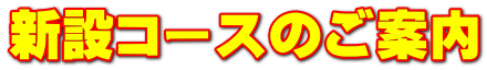 V݃R[X̂ē