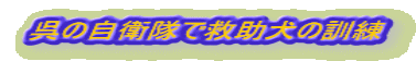 ���̎��q���ŋ~�����̌P��
