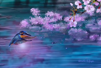 鳥イラスト