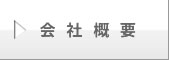 ЊTv
